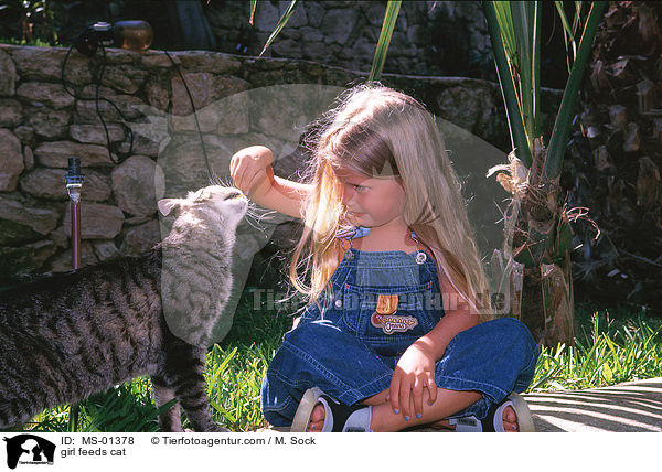 Mdchen fttert Katze / girl feeds cat / MS-01378