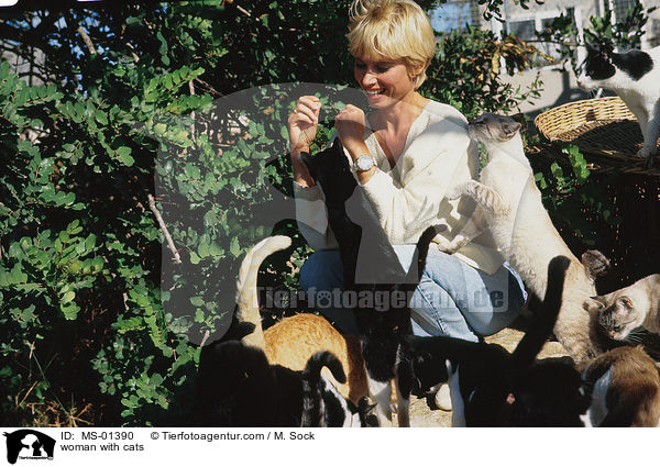 Frau mit Katzen / woman with cats / MS-01390