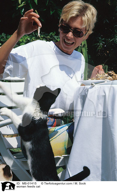 Frau fttert Katze / woman feeds cat / MS-01415
