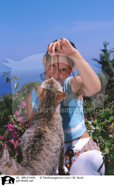 Mdchen fttert Katze / girl feeds cat / MS-01464