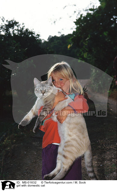 Mdchen mit Hauskatze / girl with domestic cat / MS-01632