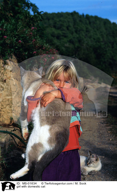 girl with domestic cat / MS-01634