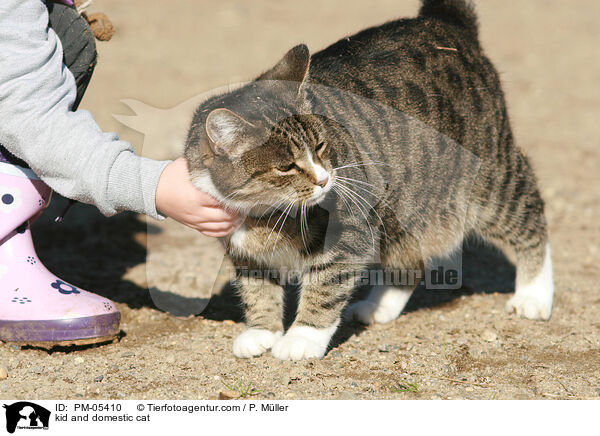 Kind und Hauskatze / kid and domestic cat / PM-05410
