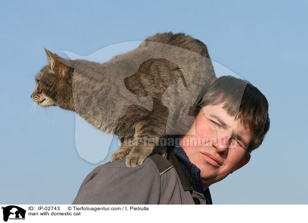 Mann mit Hauskatze / man with domestic cat / IP-02743