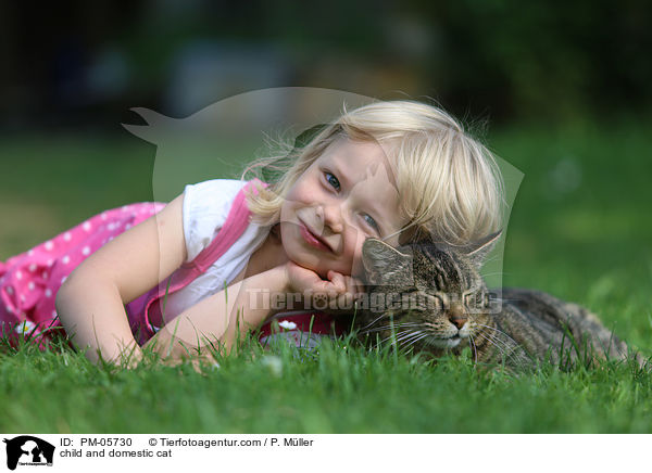 Kind und Hauskatze / child and domestic cat / PM-05730