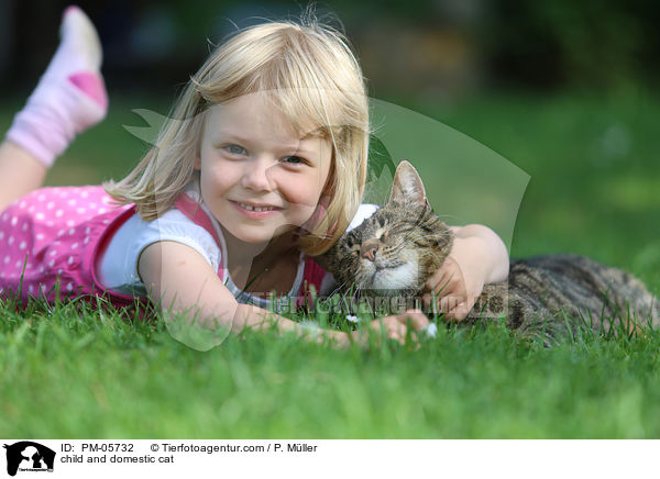 Kind und Hauskatze / child and domestic cat / PM-05732
