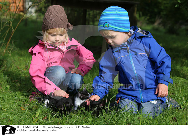 Kinder und Hauskatzen / children and domestic cats / PM-05734