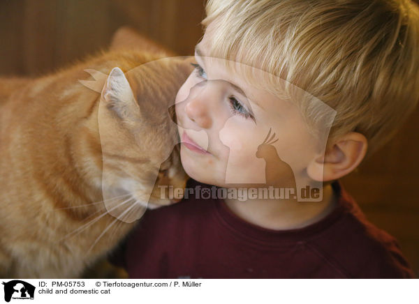 Kind und Hauskatze / child and domestic cat / PM-05753