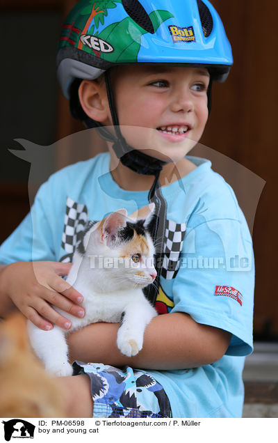 Junge und junge Hauskatze / boy and young cat / PM-06598