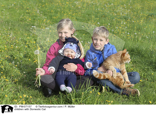 Kinder mit Hauskatze / children with Domestic Cat / PM-07157