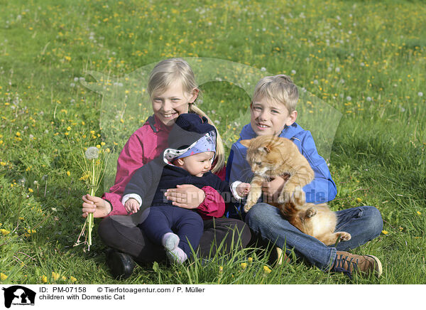 Kinder mit Hauskatze / children with Domestic Cat / PM-07158