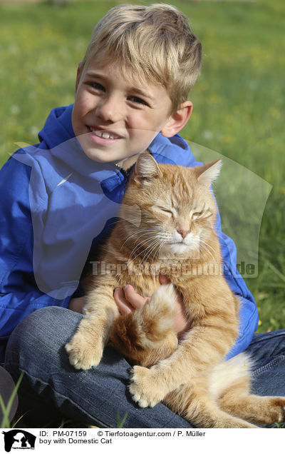 Junge mit Hauskatze / boy with Domestic Cat / PM-07159