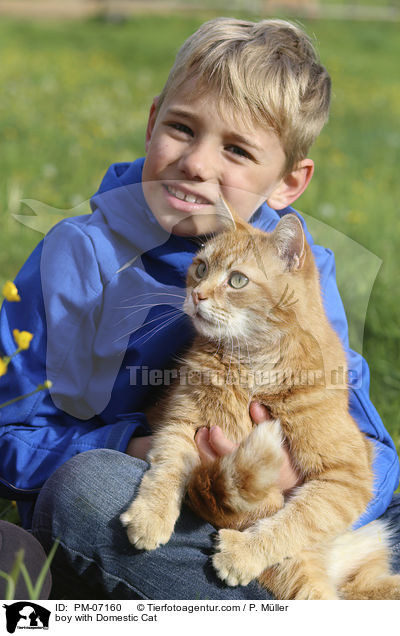 Junge mit Hauskatze / boy with Domestic Cat / PM-07160