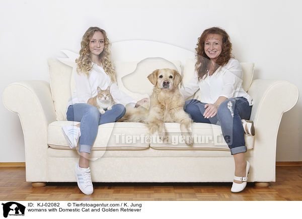 womans with Domestic Cat and Golden Retriever / KJ-02082