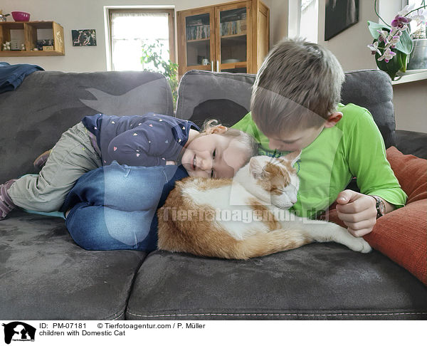 Kinder mit Hauskatze / children with Domestic Cat / PM-07181