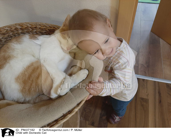 Kind mit Hauskatze / Child with Domestic Cat / PM-07182