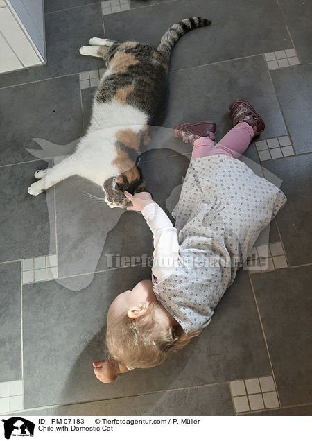 Kind mit Hauskatze / Child with Domestic Cat / PM-07183