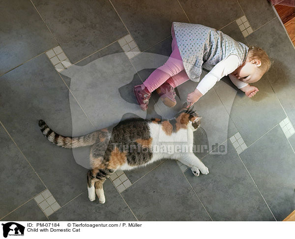 Kind mit Hauskatze / Child with Domestic Cat / PM-07184