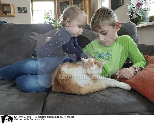 Kinder mit Hauskatze / children with Domestic Cat / PM-07186