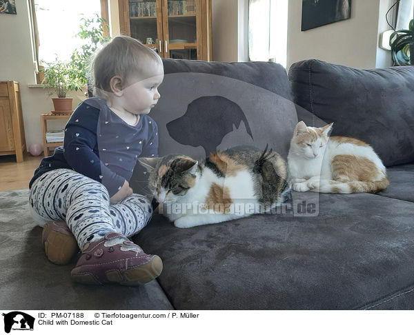Kind mit Hauskatze / Child with Domestic Cat / PM-07188