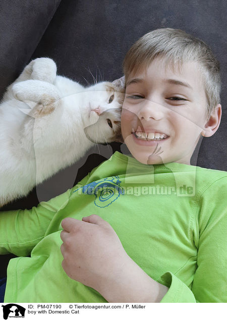 Junge mit Hauskatze / boy with Domestic Cat / PM-07190