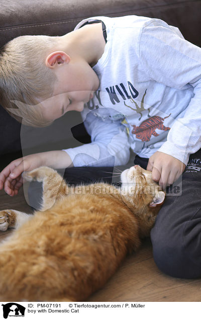 Junge mit Hauskatze / boy with Domestic Cat / PM-07191