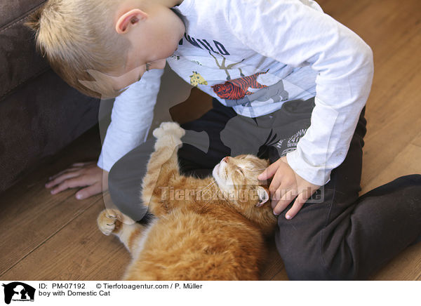 Junge mit Hauskatze / boy with Domestic Cat / PM-07192