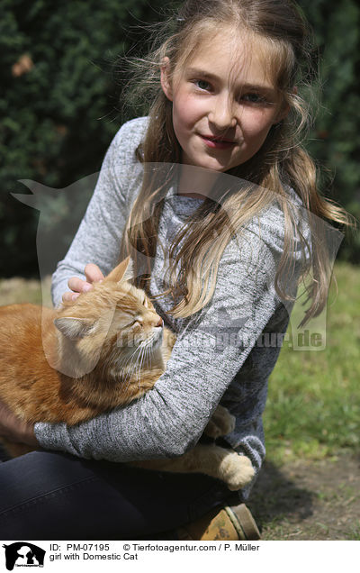 Mdchen mit Hauskatze / girl with Domestic Cat / PM-07195