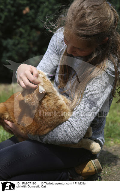 Mdchen mit Hauskatze / girl with Domestic Cat / PM-07196