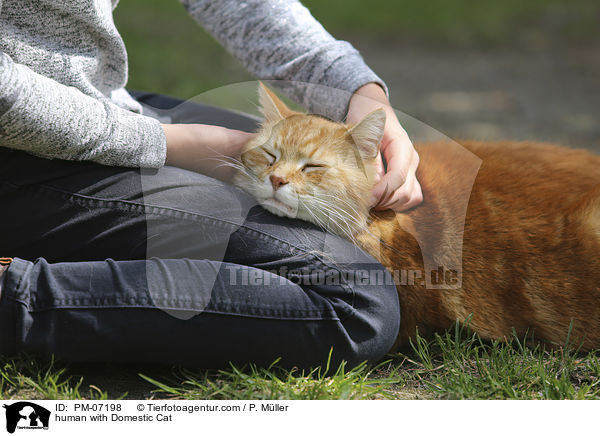 Mensch mit Hauskatze / human with Domestic Cat / PM-07198