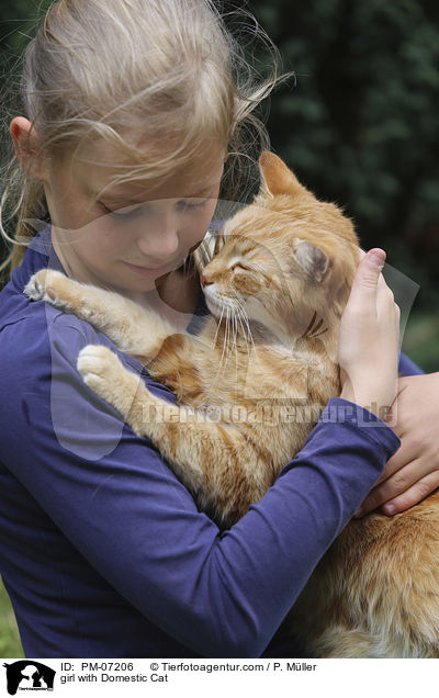 Mdchen mit Hauskatze / girl with Domestic Cat / PM-07206