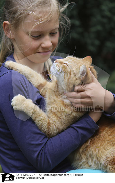 girl with Domestic Cat / PM-07207