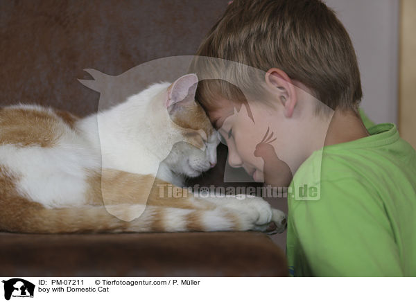Junge mit Hauskatze / boy with Domestic Cat / PM-07211
