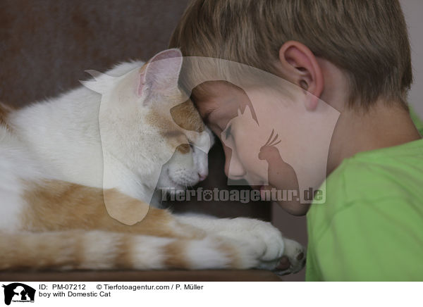Junge mit Hauskatze / boy with Domestic Cat / PM-07212