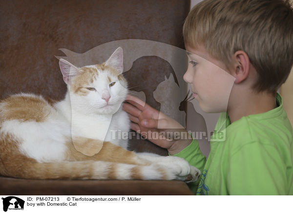 Junge mit Hauskatze / boy with Domestic Cat / PM-07213