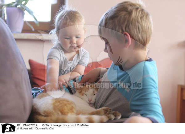 Kinder mit Hauskatze / children with Domestic Cat / PM-07214