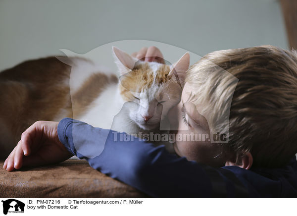 Junge mit Hauskatze / boy with Domestic Cat / PM-07216