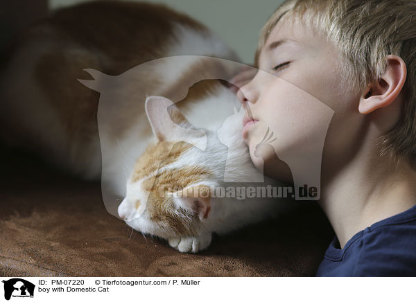 Junge mit Hauskatze / boy with Domestic Cat / PM-07220