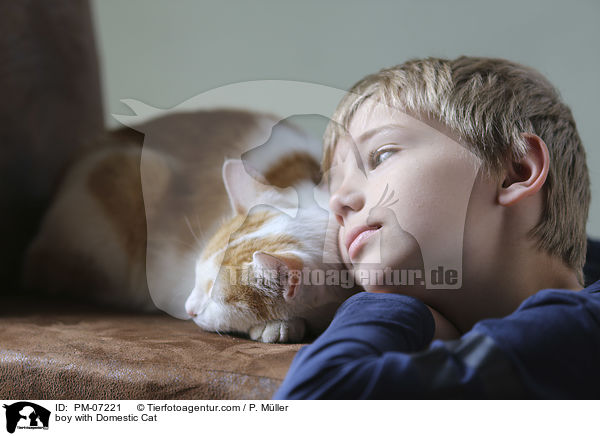 Junge mit Hauskatze / boy with Domestic Cat / PM-07221