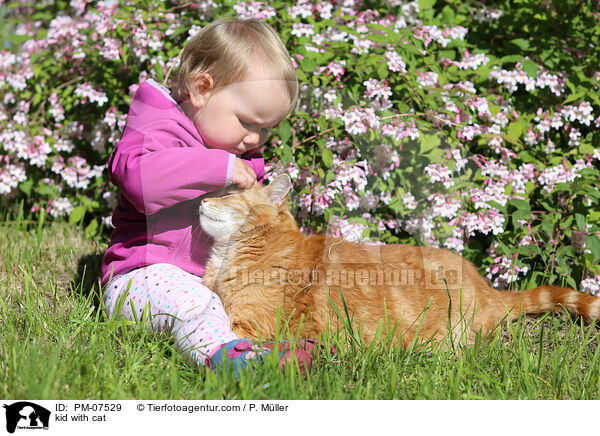 kid with cat / PM-07529
