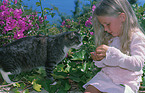 girl feeds cat