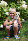 boy and cat