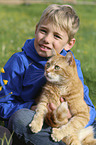 boy with Domestic Cat