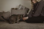 woman with Domestic Cat