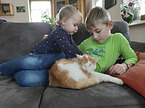 children with Domestic Cat