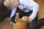 boy with Domestic Cat