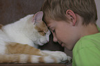 boy with Domestic Cat