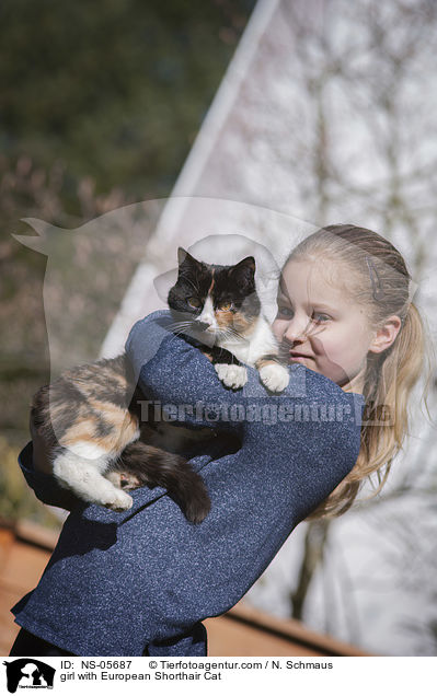 girl with European Shorthair Cat / NS-05687