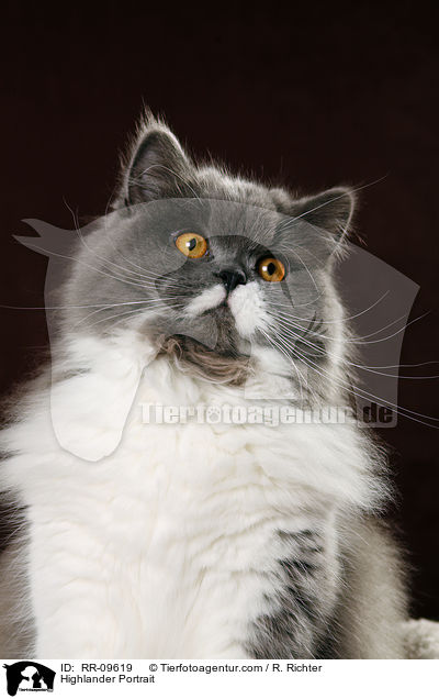 Highlander Portrait / RR-09619