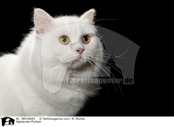 Highlander Portrait / RR-09664